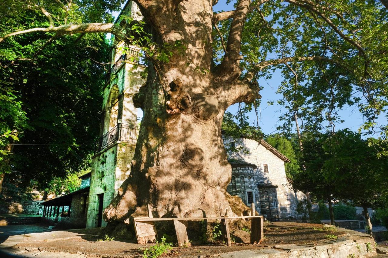 A Dream Deferred Villa Pelion Kissos  Eksteriør bilde